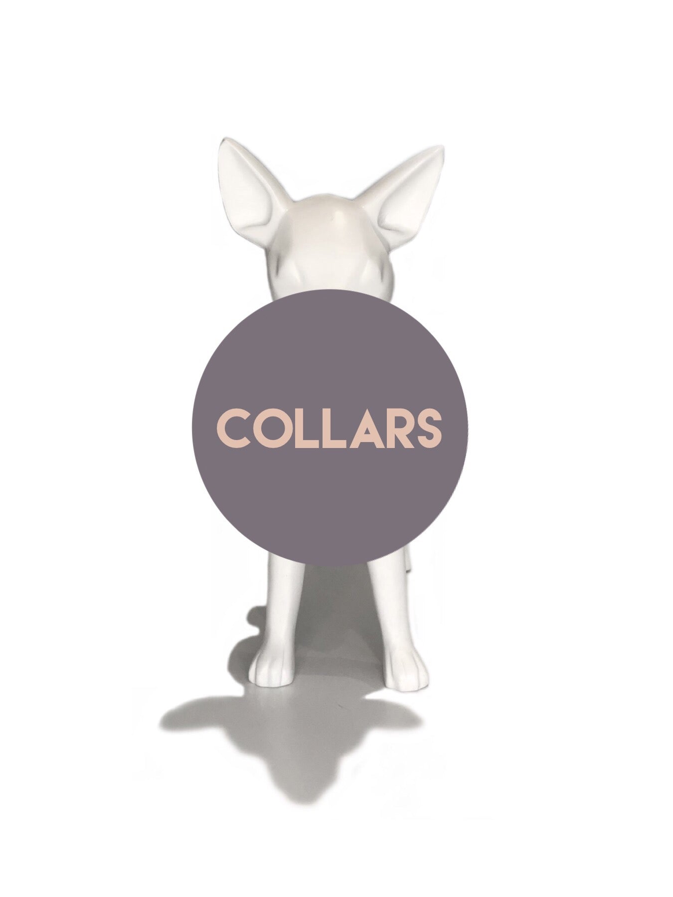 Pre-order Dog Collar