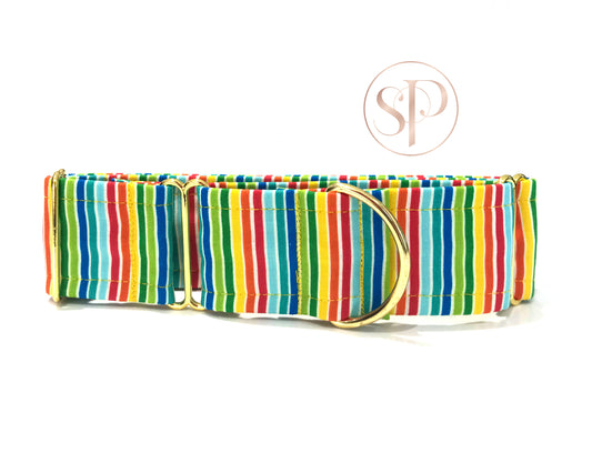 Rainbow Stripes Martingale Dog Collar