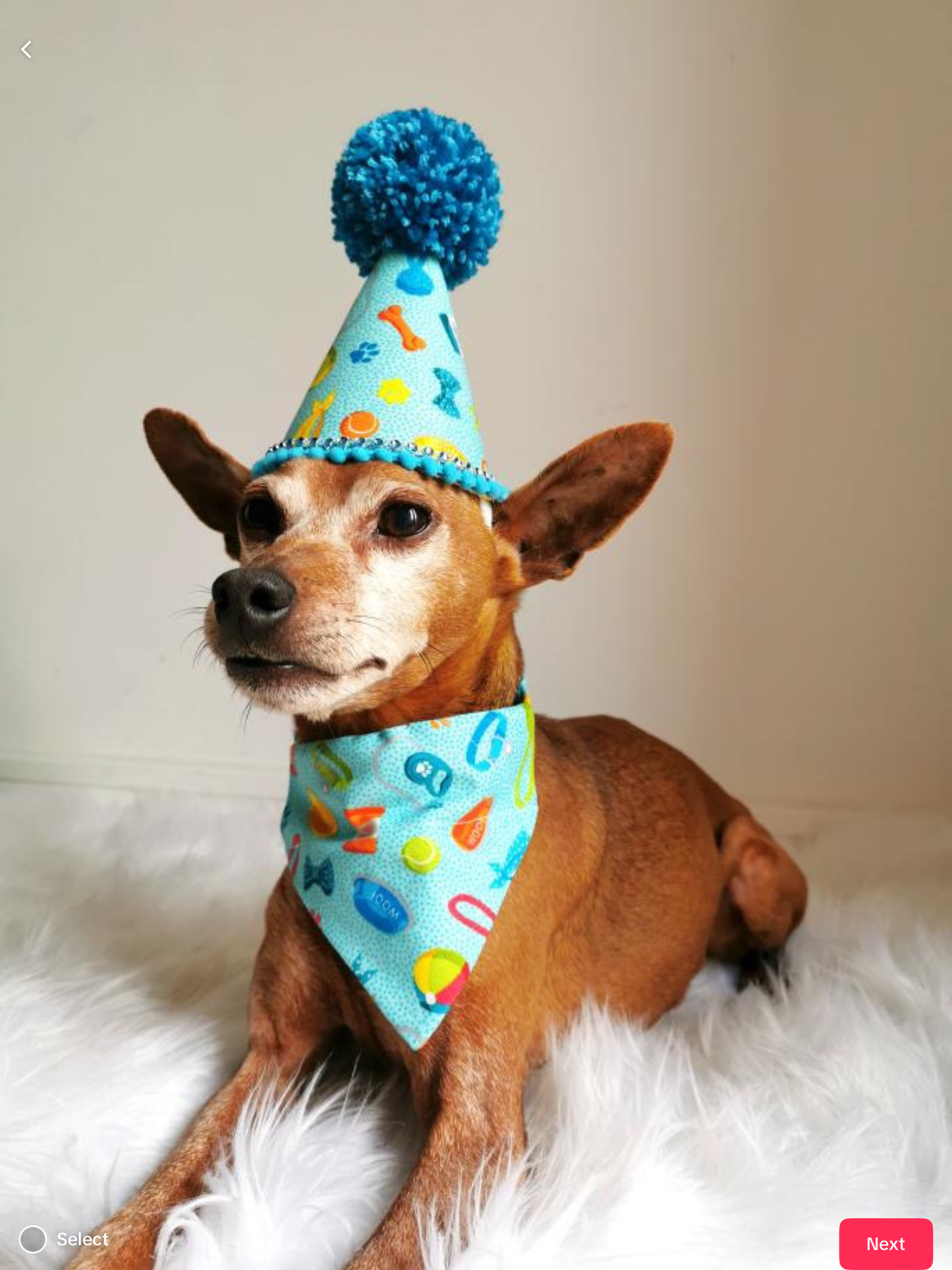 Pup Stuff Party Hat