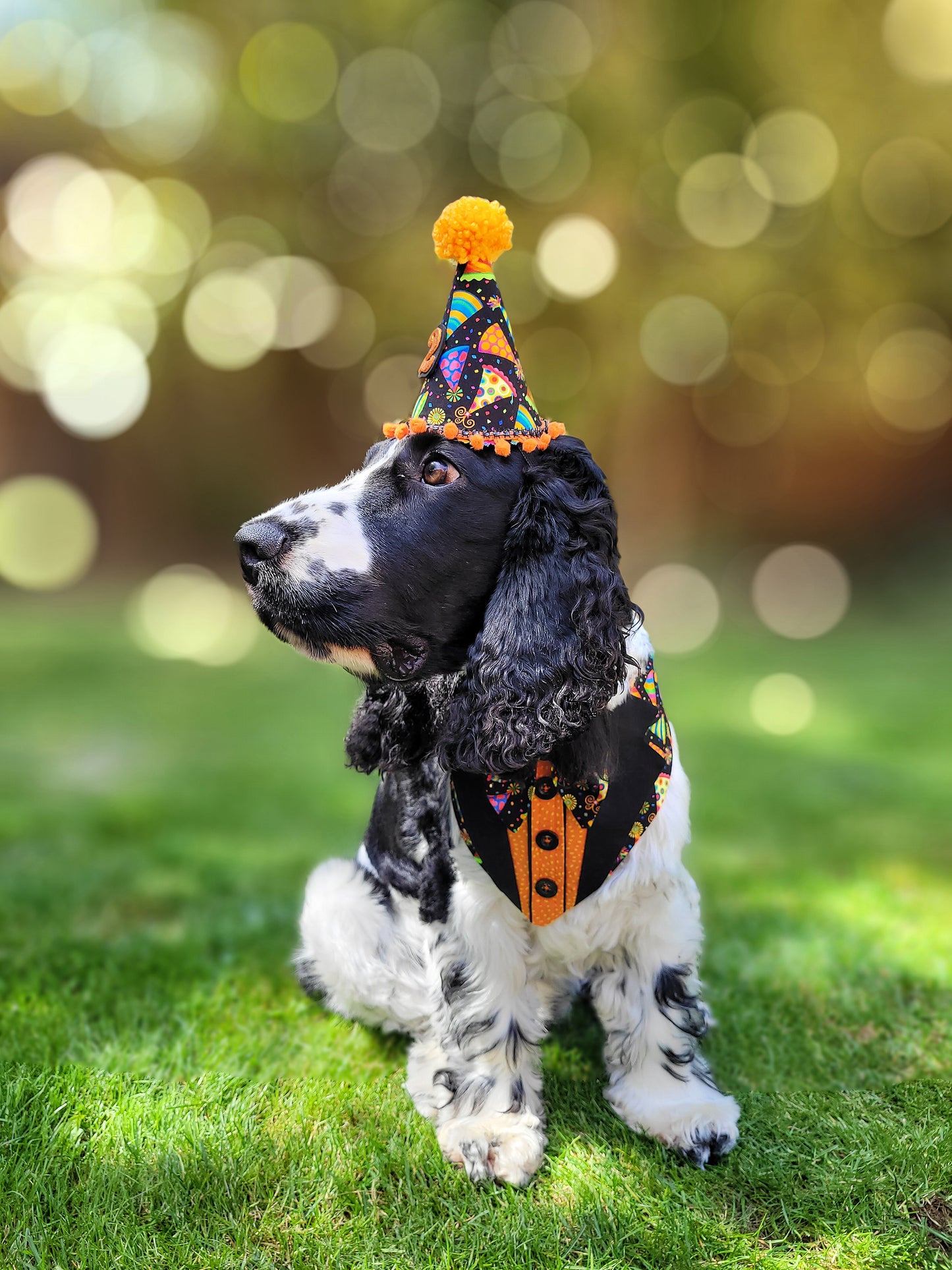 Party Hats & Marmalade Tuxedo Dog Bandana
