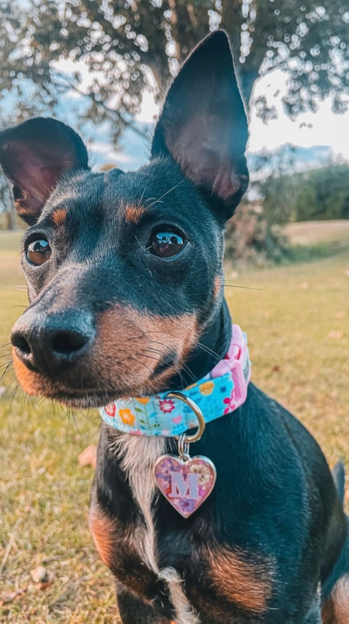 Flora Dog Collar