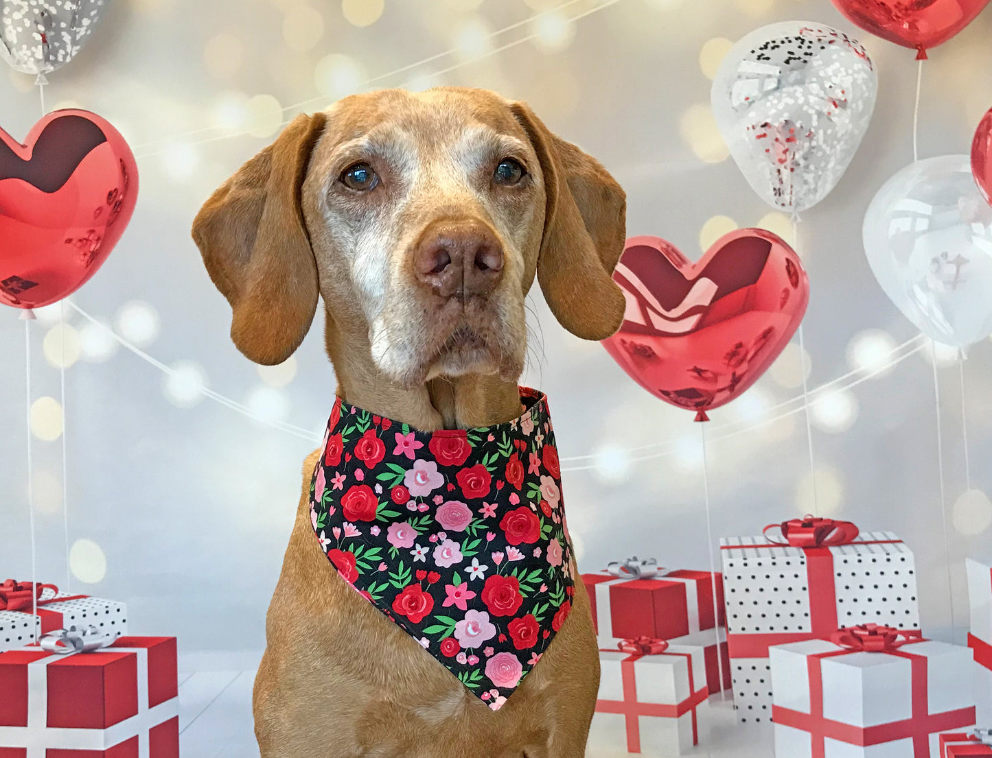 Be My Valentine & Roses Reversible Dog Bandanas