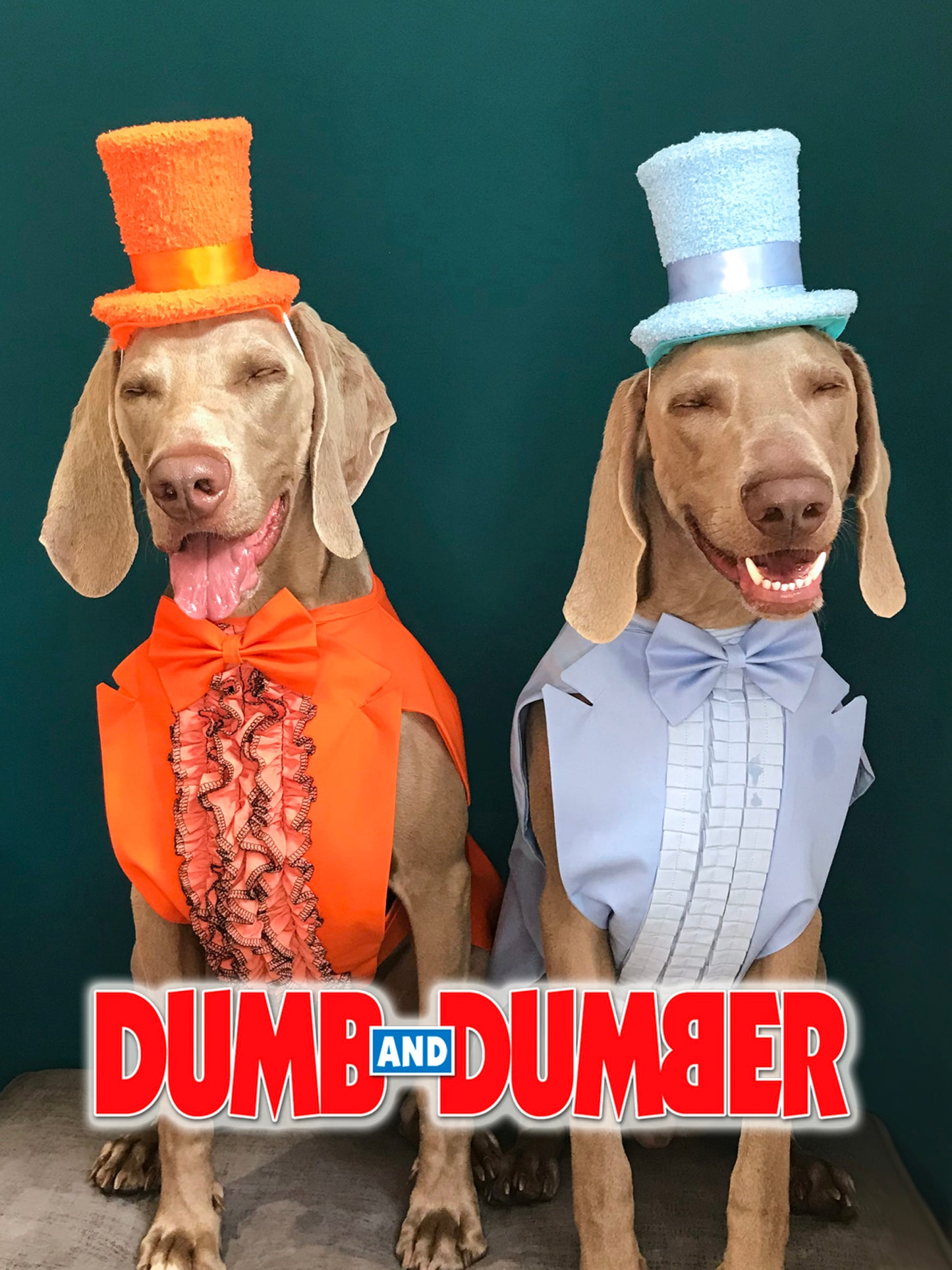 Dumb & Dumber Tuxedo and Top Hat