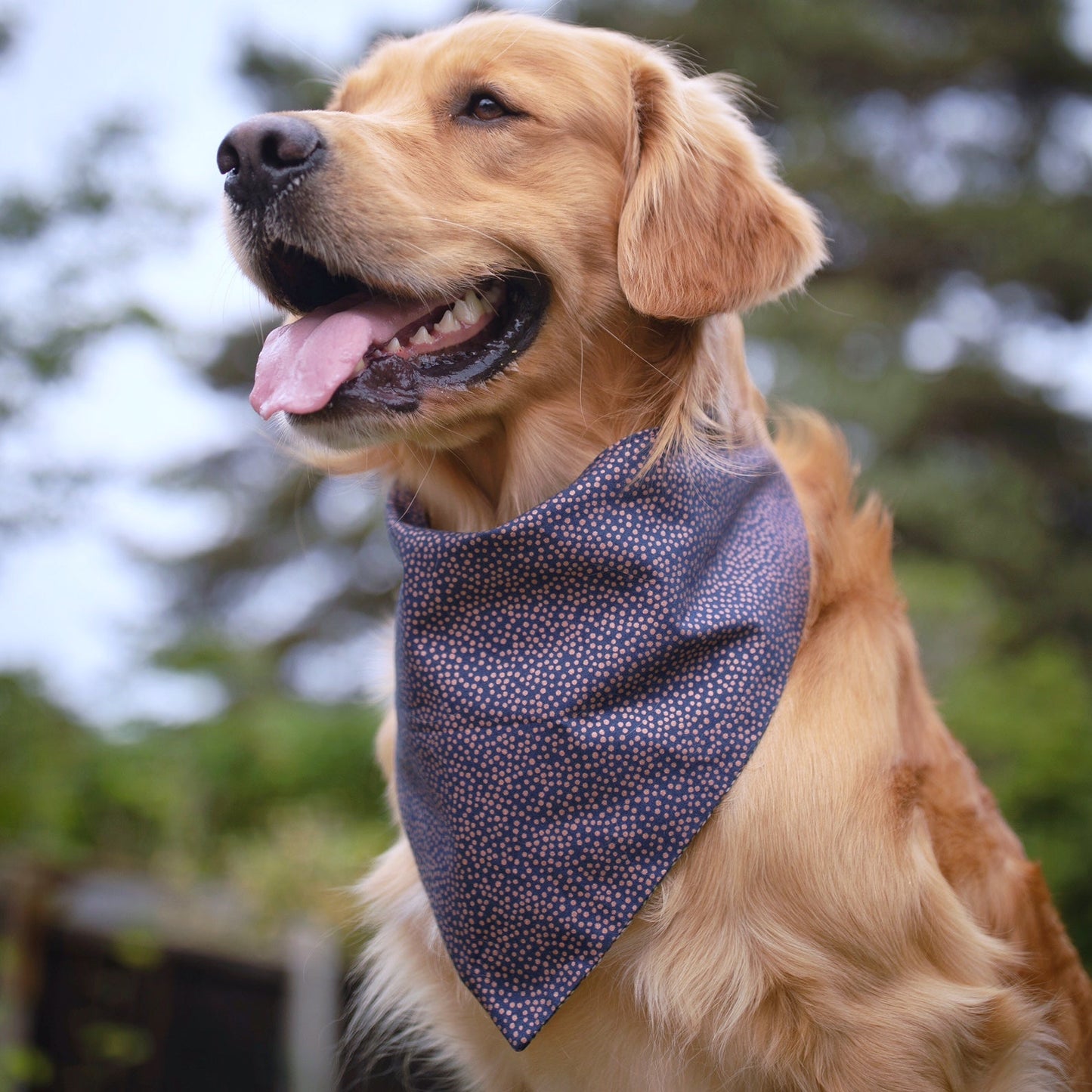 Oscar & Copper Spots Reversible Dog Bandana