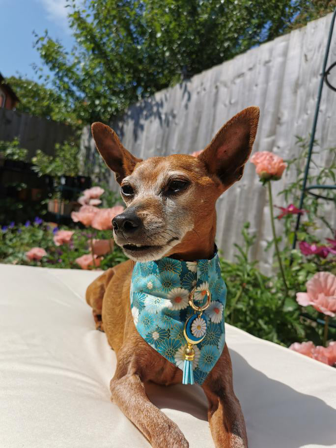 Hanakichi Blossom & Gerberas in Turquoise Dog Bandana