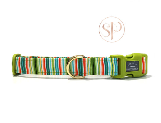 All Decked Up Striped Collar