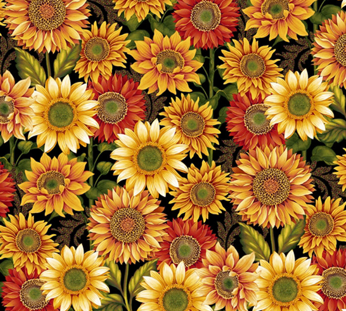 Sunflowers Martingale Dog Collar