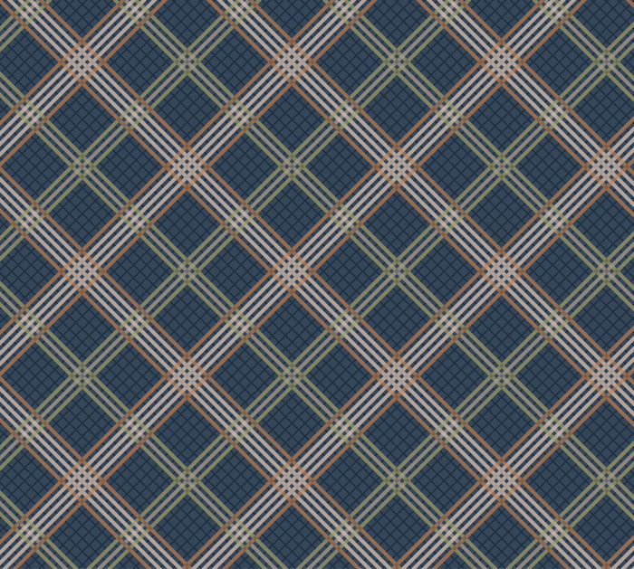 Lewis & Irene - Loch Lewis - A539.3 Loch Lewis Blue Check Fabric