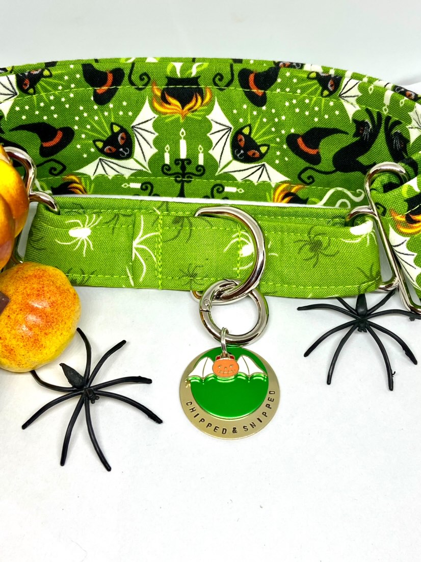 Witches Brew Spiders Martingale Dog Collar