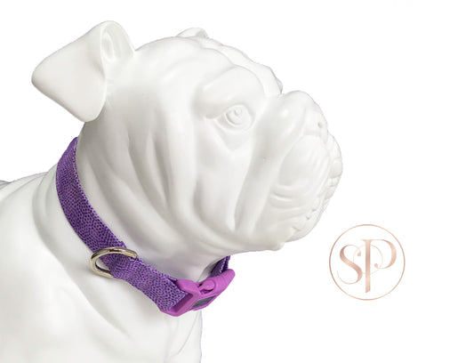 Freckles in Orchid Dog Collar