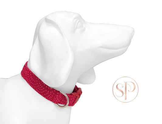 Cherry Pippin Dog Collar