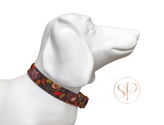 Slumber Pawty Dog Collar