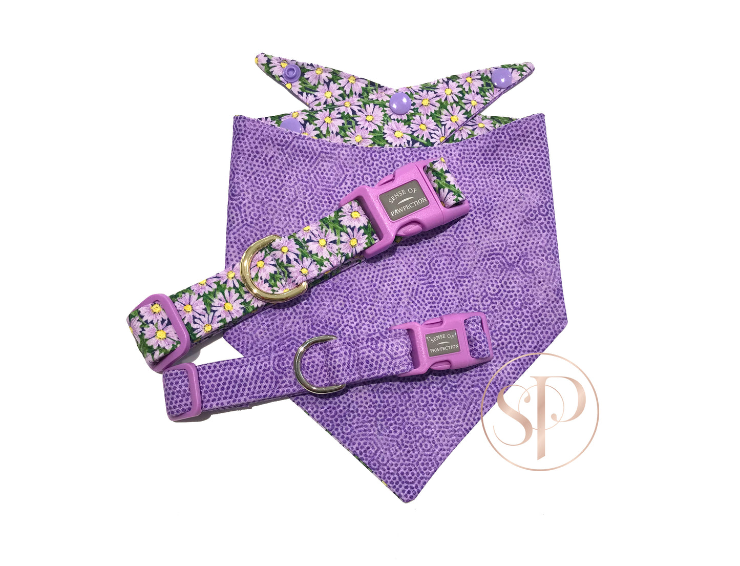 Freckles in Orchid Dog Collar, bandana and daisies dog collar