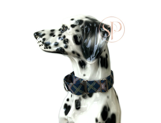 Oscar Martingale Dog Collar on Dalmatian