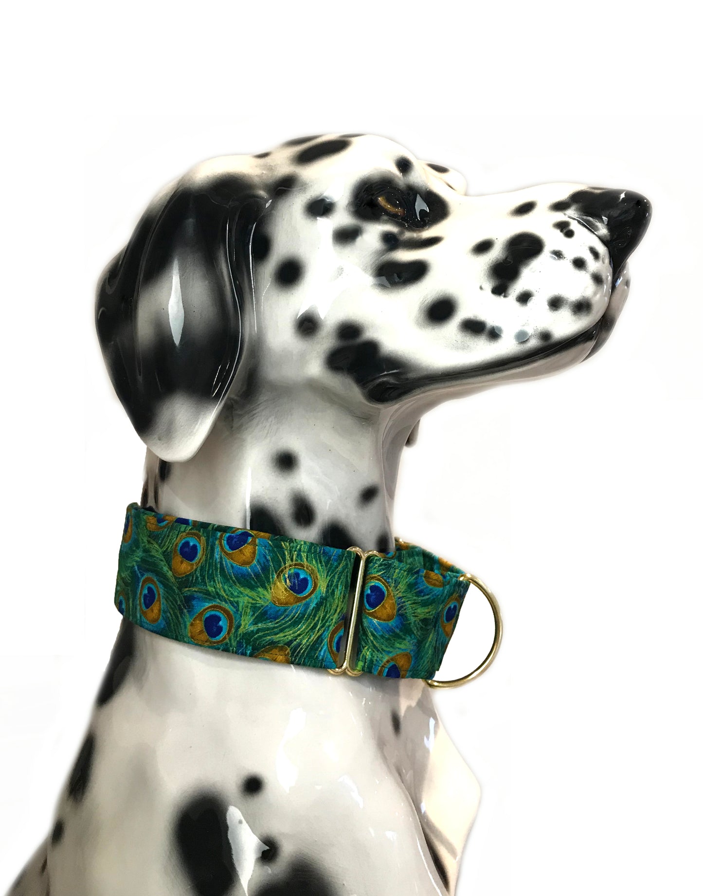 Tail Feathers Martingale Dog Collar