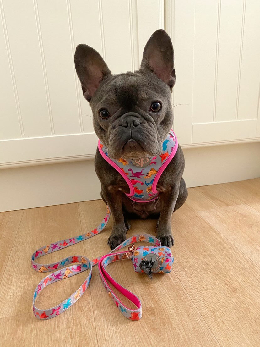 Frenchie Bella with her Roxi dinosaur doggy bag holder