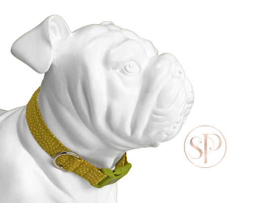 Apple Pippin Dog Collar