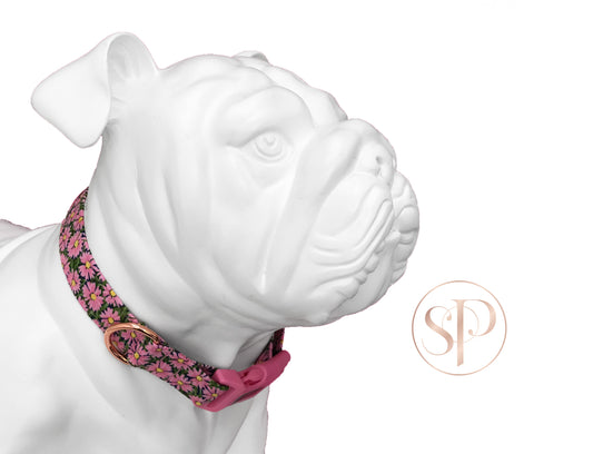 Daisies in Pink Dog Collar