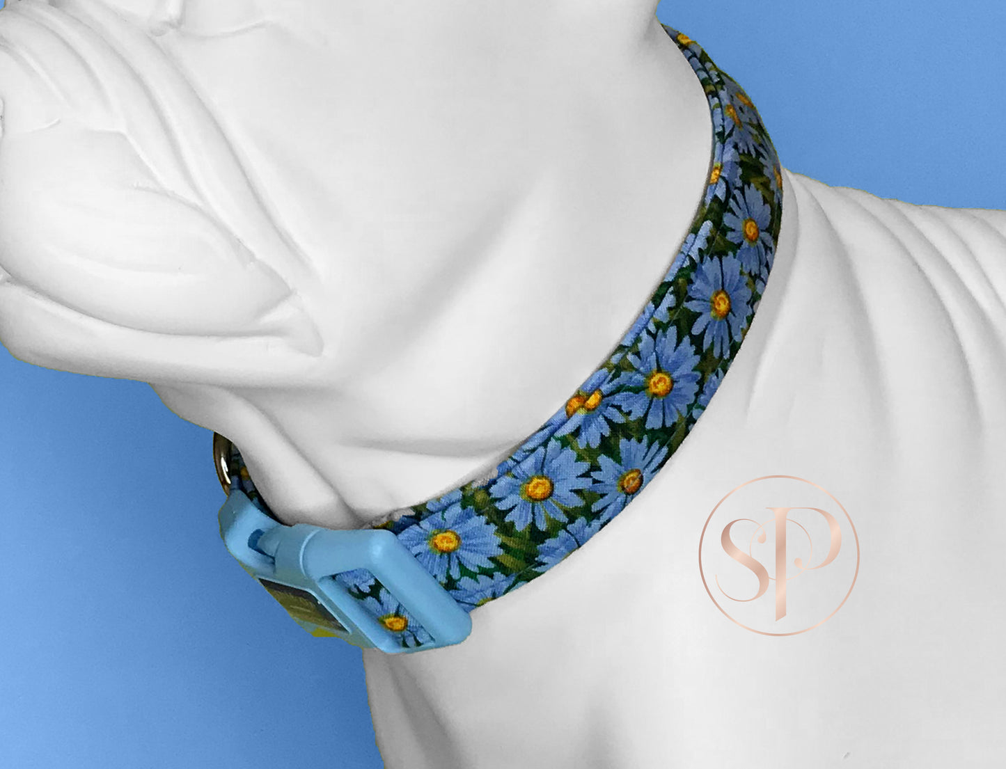 Daisies in Blue Dog Collar