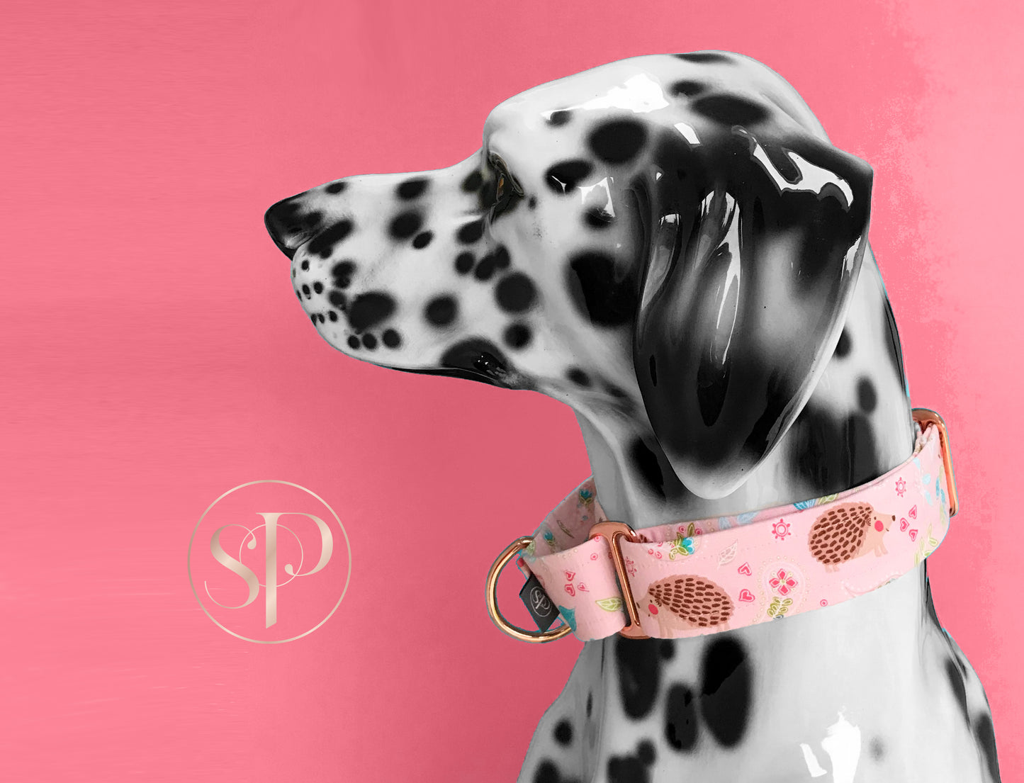 Little Prickles in Blush Martingale Dog Collar