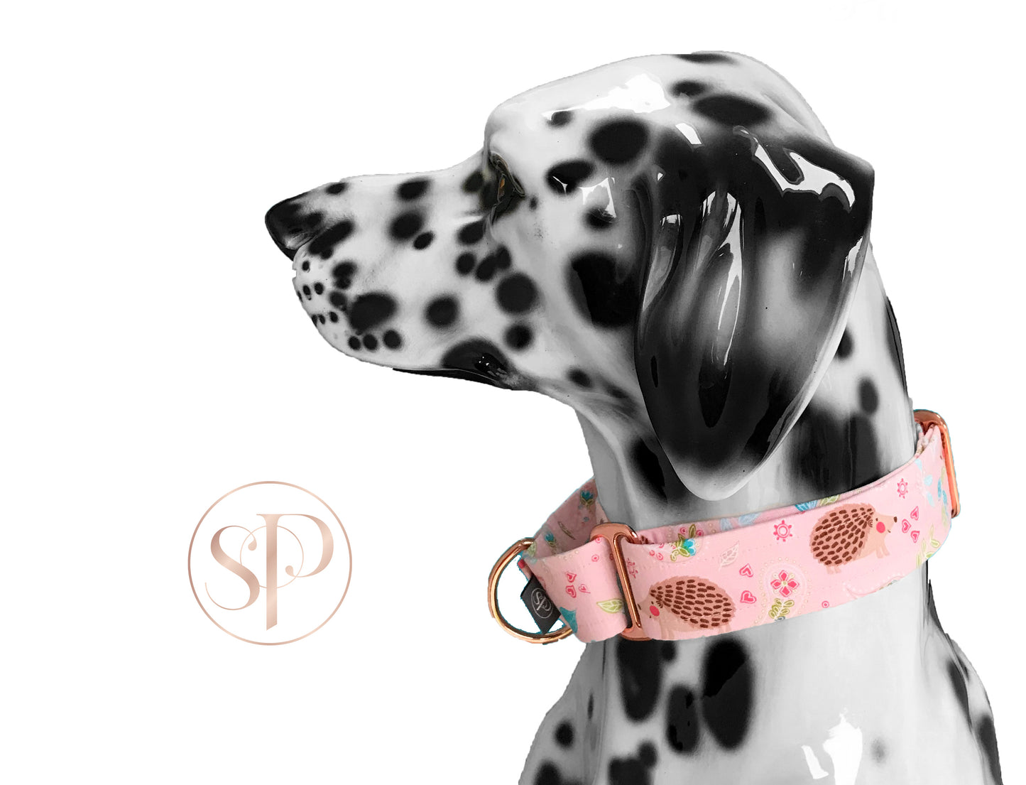 Little Prickles in Blush Martingale Dog Collar