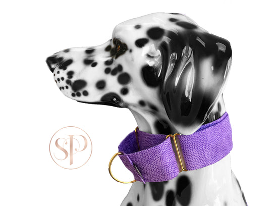 Freckles in Orchid Martingale Dog Collar