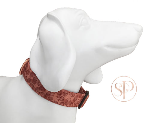Acorns Dog Collar