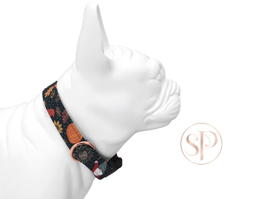 Pumpkin Patch Gnomes Dog Collar