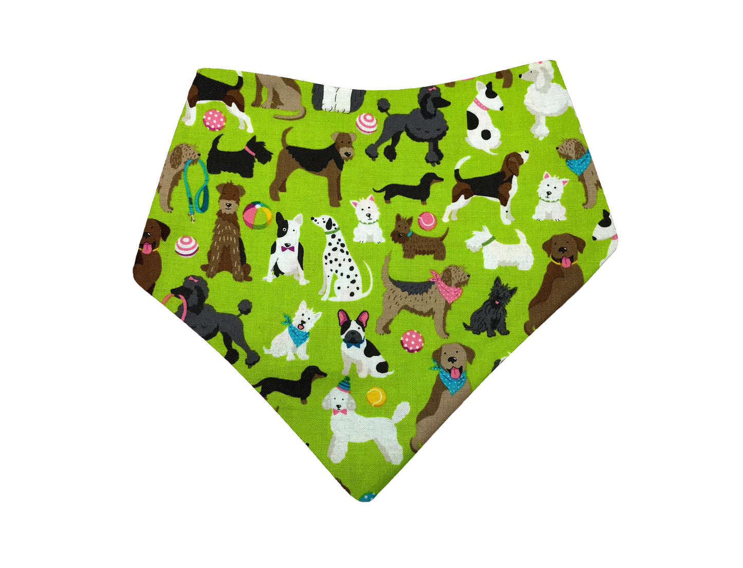 Party Pups in Green & Rainbow Stripes Reversible Dog Bandanas