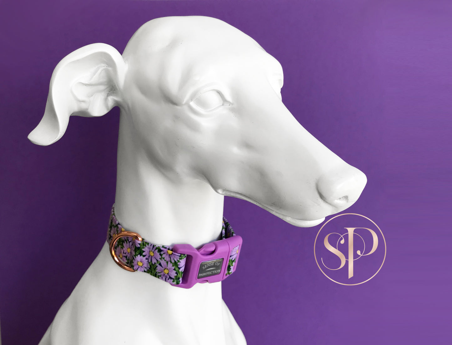 Daisies in Purple Dog Collar