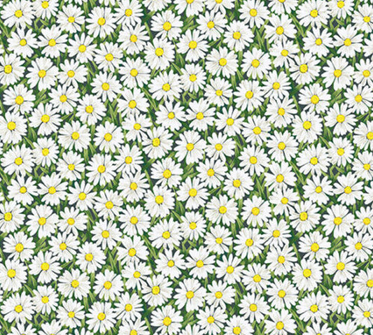 Daisies in White Dog Lead
