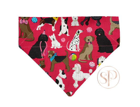 Party Pups in Pink Slide-on Dog Bandana