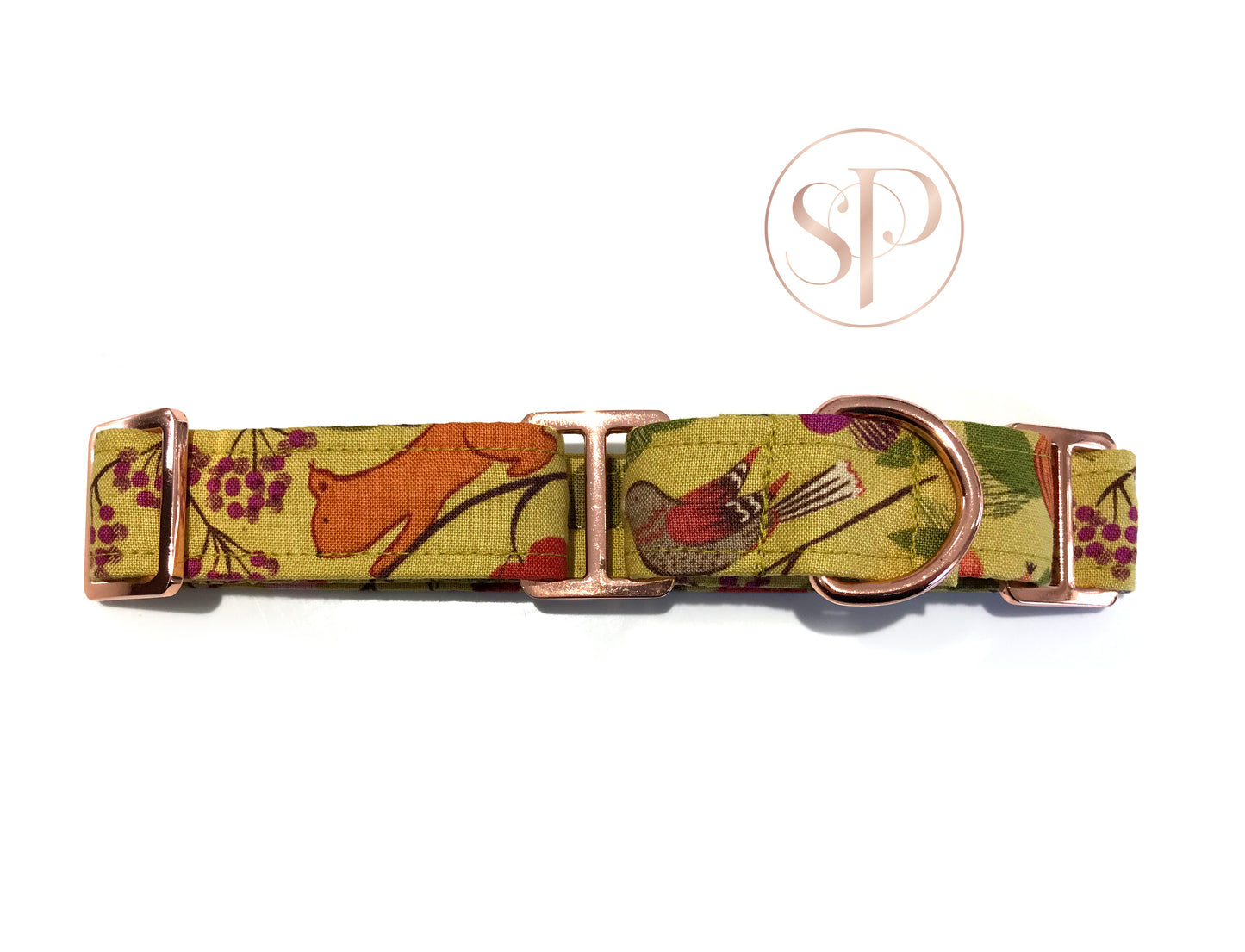 Orchard Feast Martingale Dog Collar