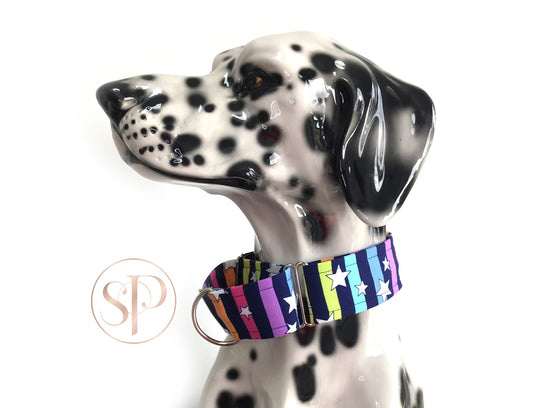 Scoop There It Is! - Stars & Stripes Martingale Dog Collar