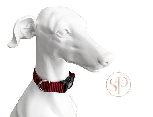 A Pirates Life For Me Dog Collar in Red Stripes
